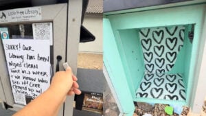 Little Free Library in Arizona is Vandalized By Repeat Offender Blasting Fox News