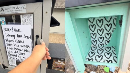 Little Free Library in Arizona is Vandalized By Repeat Offender Blasting Fox News
