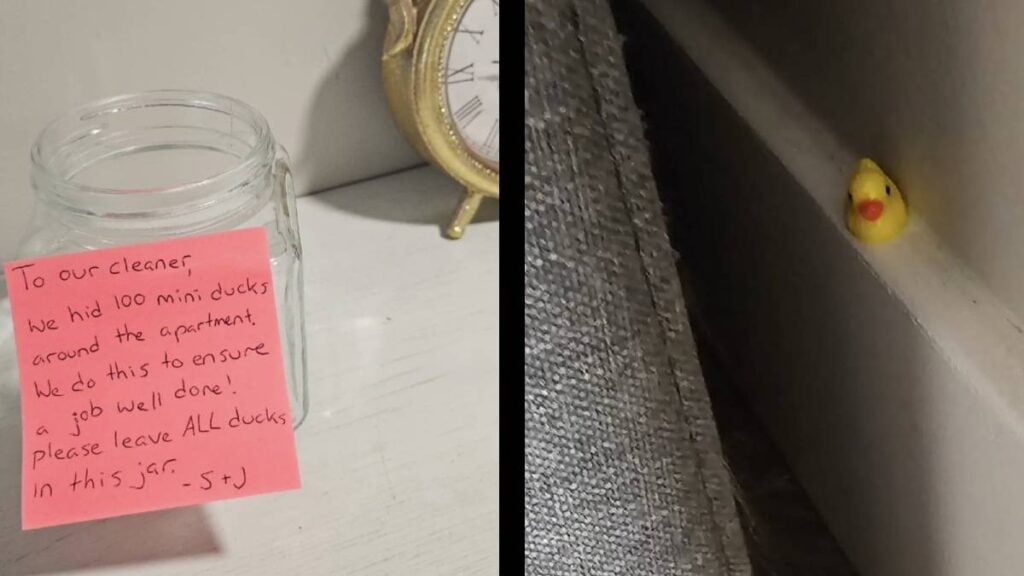 A Louisiana Woman Exposes Demanding Homeowners With a Duck Cleaning Story: ‘Imagine Taking the Time To Do This, but Not Clean Your Own House’ Louisiana Duck Cleaning