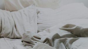 Lying California Airbnb Guest Caught Brought Bed Bug To Scam Host for Refund