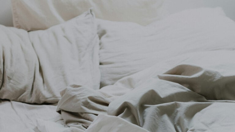 Lying California Airbnb Guest Caught Brought Bed Bug To Scam Host for Refund