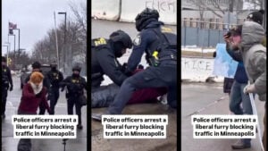 Minnesota Fox Mask Protester ICE Agents