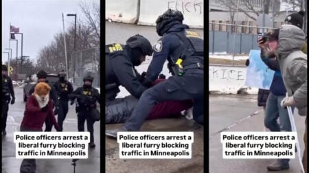 Minnesota Fox Mask Protester ICE Agents