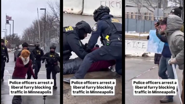 Minnesota Fox Mask Protester ICE Agents