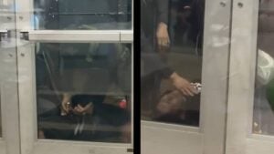 Minnesota ICE Unconscious