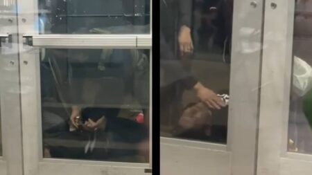 Minnesota ICE Unconscious