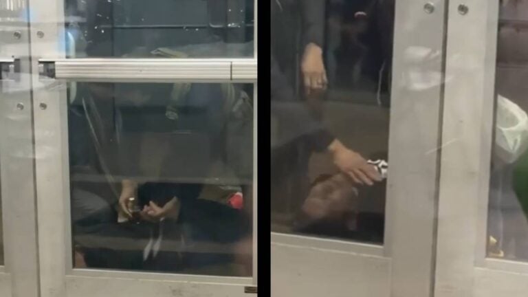 Minnesota ICE Unconscious