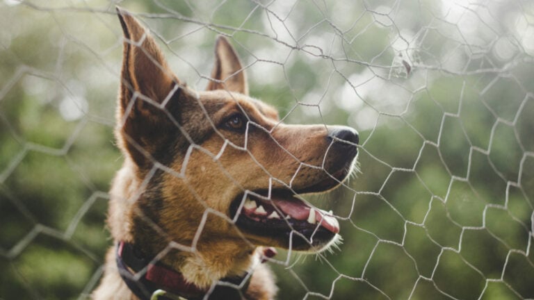 Mississippi Parent Lets Daughter Trespass Neighbor’s House Without Permission