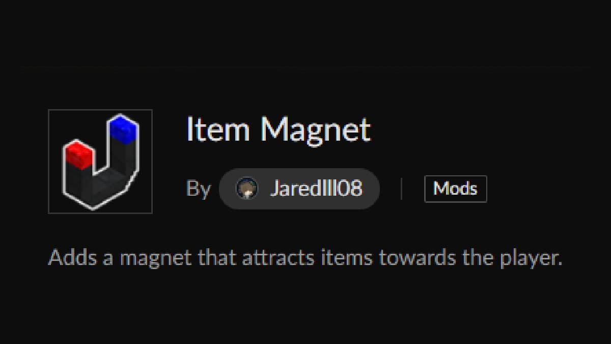 Mods Hytale Item Magnet