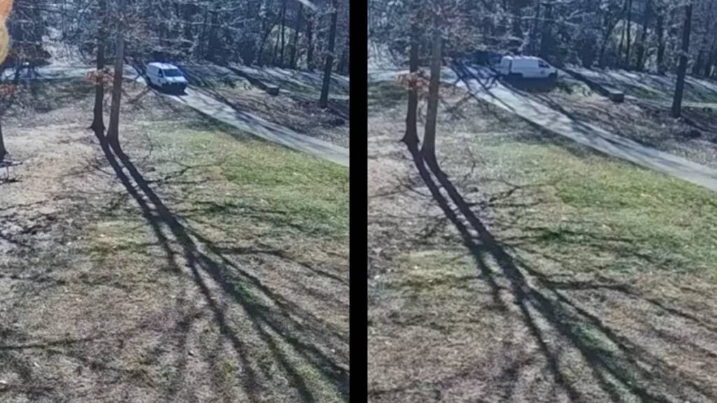 North Carolina Mail Carrier Caught On Camera While Running Over a Mailbox: ‘USPS Has Graduated From Mangling Mail to Full Property Damage’ North Carolina Carrier Mailbox