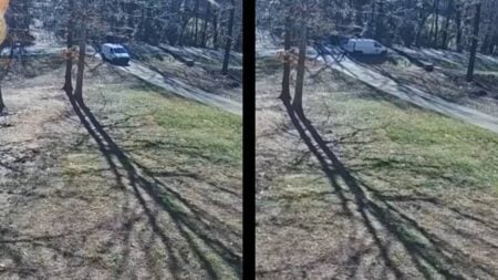 North Carolina Carrier Mailbox