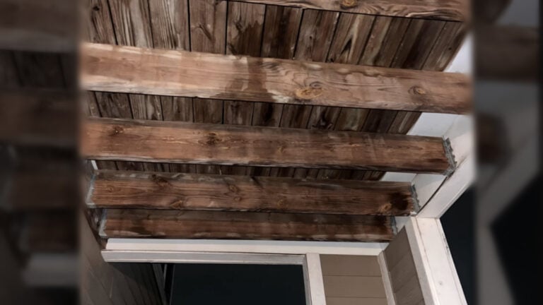 North Carolina Upstairs Neighbor 'Deliberately' Lets Dog Urinate on Balcony Onto Tenant Area Below