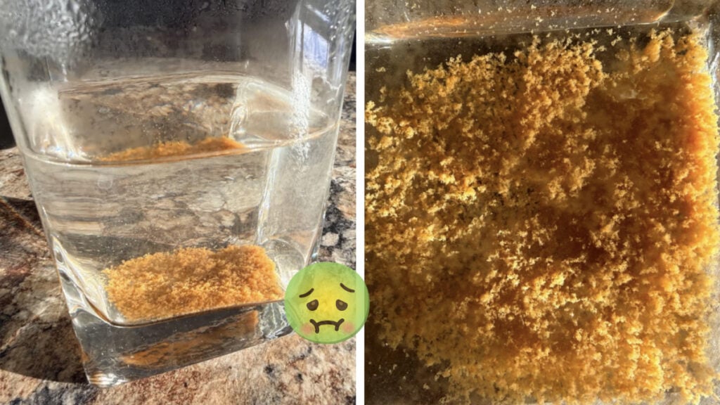 North Dakota Water Company Claims Local ‘Very Yellow and Cloudy’ Water Is ‘Safe To Drink’: ‘Red States Put No Money Into People’s Wellbeing’ North Dakota Water Company Claims Local' Very Yellow and Cloudy’ Water Is 'Safe To Drink'