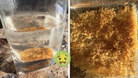North Dakota Water Company Claims Local' Very Yellow and Cloudy’ Water Is 'Safe To Drink'