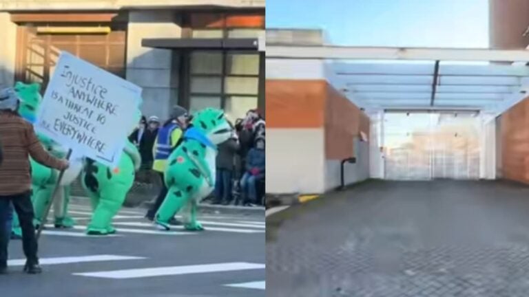 Oregon Woman Films Protestors Dancing Dressed As Frogs