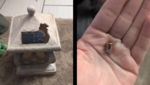 Phoenix Bullet New Year