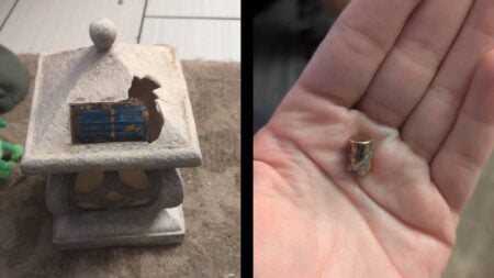 Phoenix Bullet New Year