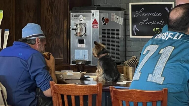 Texa Pet-Friendly restaurant