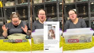 Upset New Jersey Pet Rescuer Reportedly Gets Snake Back in Bad Condition After Owner Breached Contract 'That Snake Was So Happy to Smell You Again'