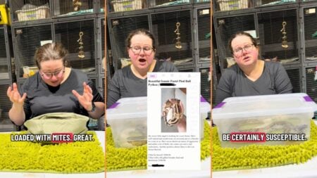 Upset New Jersey Pet Rescuer Reportedly Gets Snake Back in Bad Condition After Owner Breached Contract 'That Snake Was So Happy to Smell You Again'