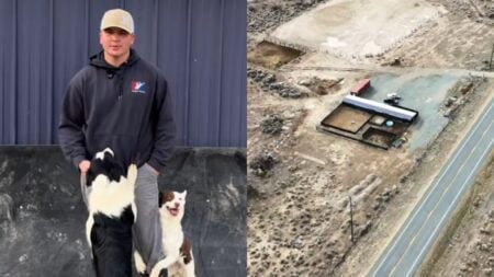 Utah Dog Trainer Gets Sued Over Barking Dogs, Despite Kennel Being in a Secluded Area: ‘Smells Like Someone Wants That Property’ Utah Dog Trainer Sued Over Barking Dogs