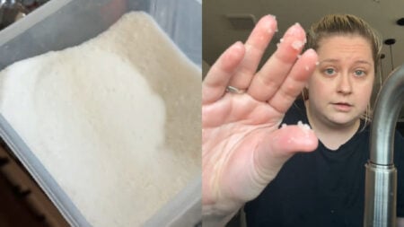 ‘What is in my sugar?’ Asks Texas Woman After Finding Strange Particles in a Bag of Great Value Sugar 'What Is In My Sugar' Asks Texas Woman After Finding Strange Particles in a Bag of Great Value Sugar