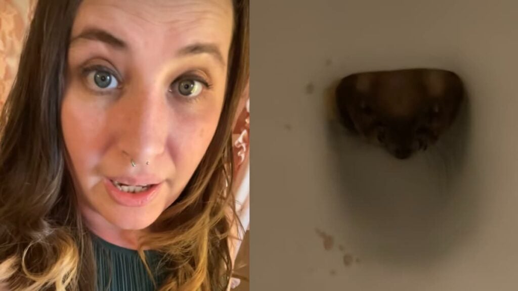 A picture of the Texas woman.