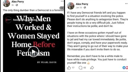 A picture of the Washington cat groomer's posts.