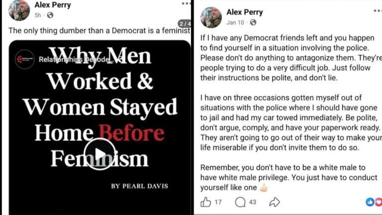 A picture of the Washington cat groomer's posts.