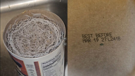 Quaker Oats worms from Walmart