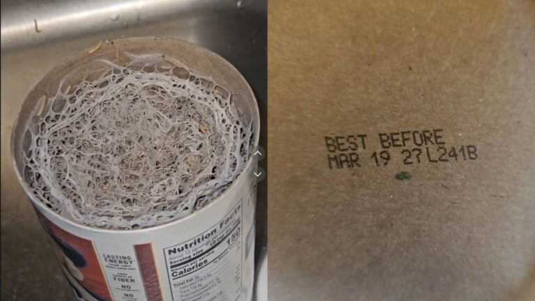 Quaker Oats worms from Walmart