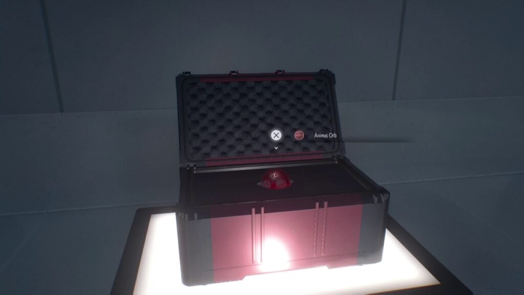 Animus Orb