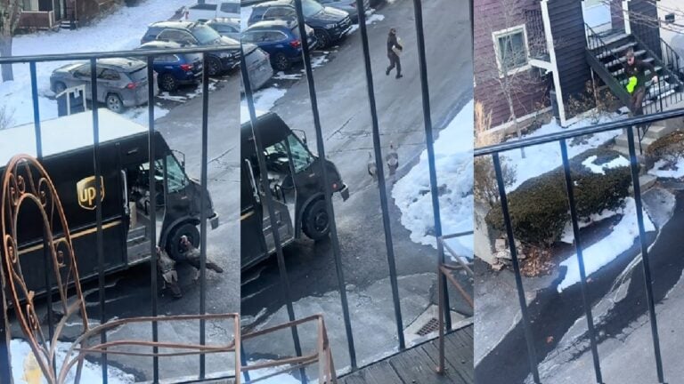 Connecticut UPS Driver Runs From Turkeys