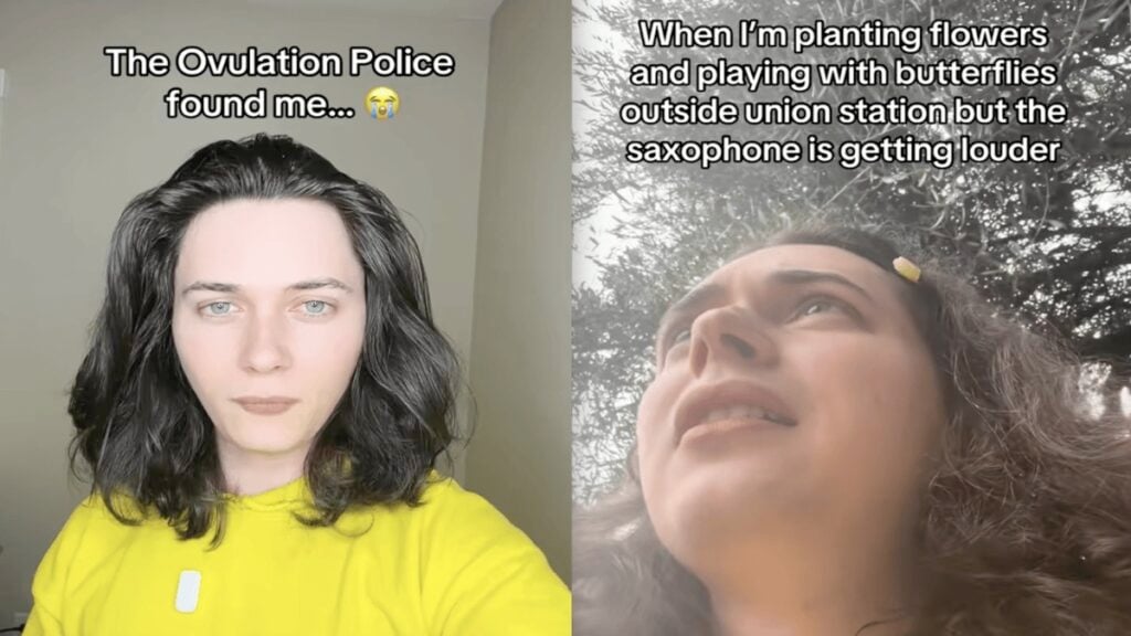 California Man Says He Was Harassed and Attacked by the ‘Ovulation Police’, Turns It into a ‘Solution for Mental Health Crisis in Unhoused People’ Lesson