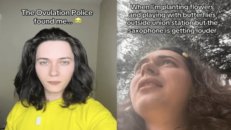 California Man Says He Was Harassed and Attacked by the ‘Ovulation Police’, Turns It into a ‘Solution for Mental Health Crisis in Unhoused People’ Lesson