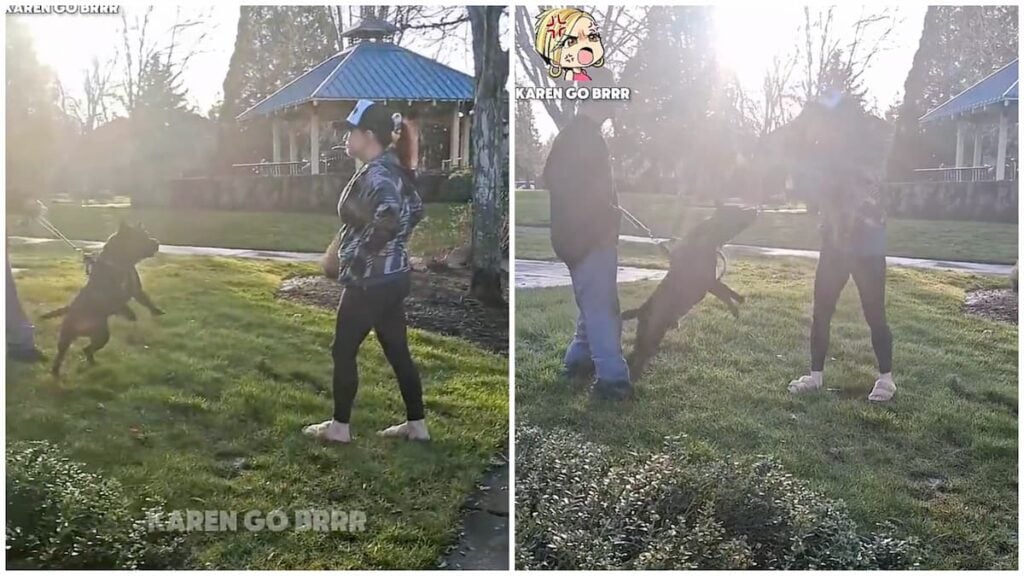 California dog and Karen encounter