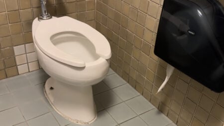 Cruel Pennsylvania Class Bully Made Boy Eat Food Out Dirty Toilet