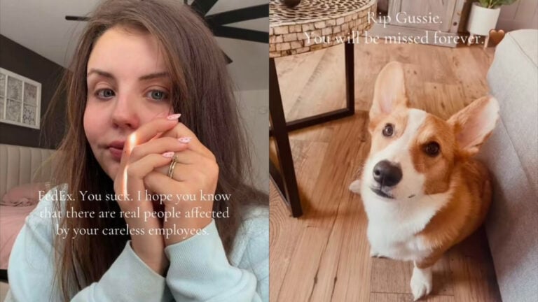 Tennessee Family Devastated After FedEx Driver Runs Over Their Corgi: ‘That Dog Was With Me Through Some of the Worst Times of My Life’ FedEx Driver Runs Over Tennessee Family Corgi