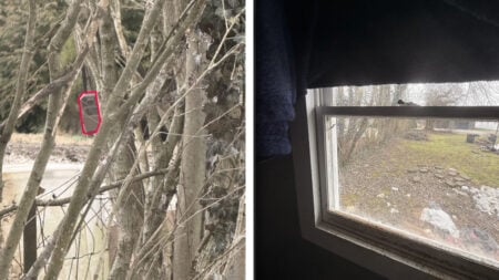 Freaky Ohio Neighbor Installs Camera on Tree Looking Directly Into Couple’s Changing Room as Intimidation