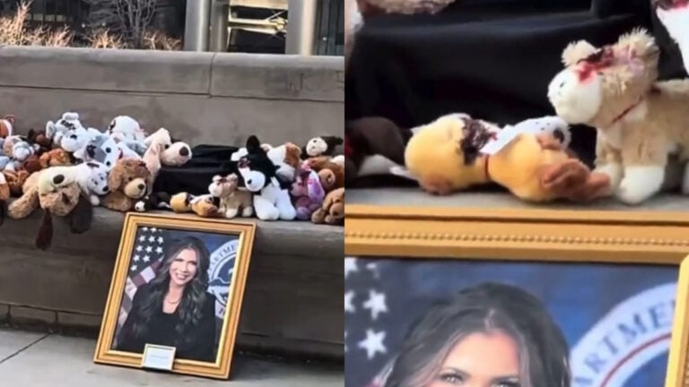 Memorial With Stuffed Dogs Set Up in Illinois for Kristi Noem’s Dog: ‘RIP Cricket’