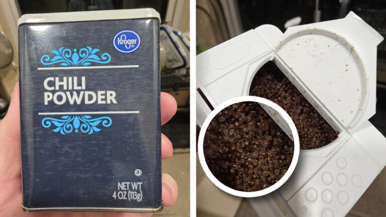 Illinois Man Discovers His ‘New’ Can of Kroger's Chili Powder Is Filled with Live Bugs