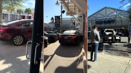 Insane Florida Man ‘Said He Was Just Trying to Reverse’ and Rages Through Shopping Center to Avoid Tow Truck Insane Florida Man 'Said He Was Just Trying to Reverse' and Rages Through Shopping Center to Avoid Tow Truck