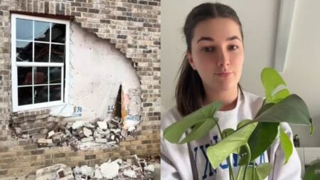 Kentucky Woman Finds Car Crashed Into Her Home, Mourns Her Houseplant Instead: ‘You Guys Could Have Just Asked for the Keys’ Kentucky Woman Finds Car Crashed Into Home, Mourns Plant