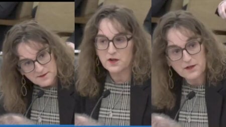 Minnesota Rep Adult Content Educational Backlash