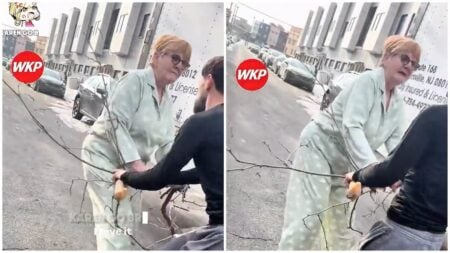 New Jersey Karen Loses It Over a Broken Tree Branch