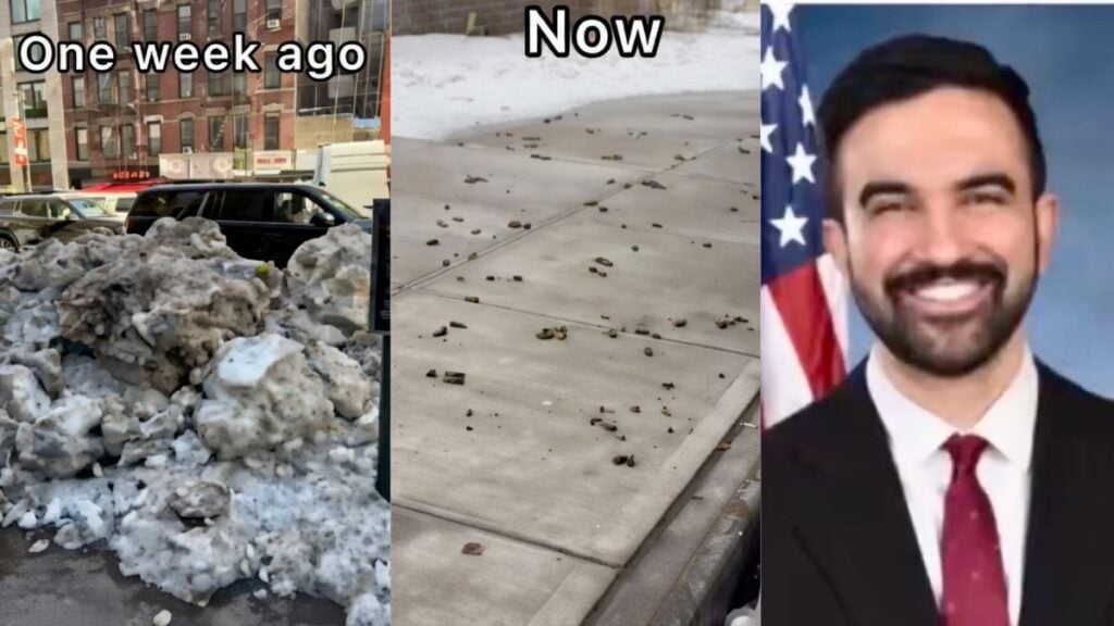 Snow-covered New York sidewalk before melting next to a later image showing the same street littered with dog waste.