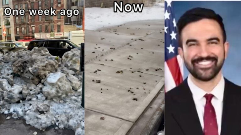 Snow-covered New York sidewalk before melting next to a later image showing the same street littered with dog waste.