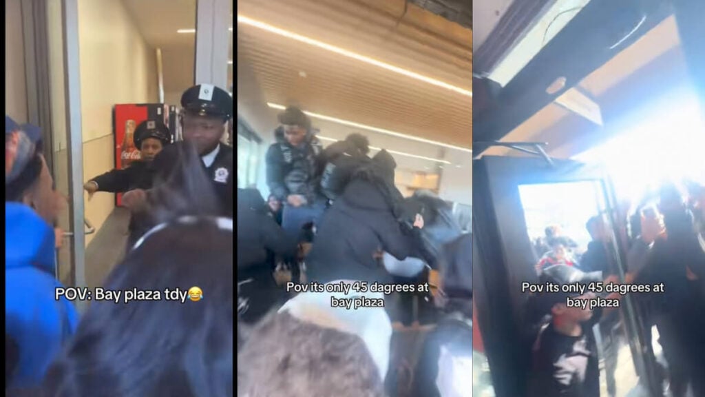 New York Teenagers Bay Plaza Mall Chaos