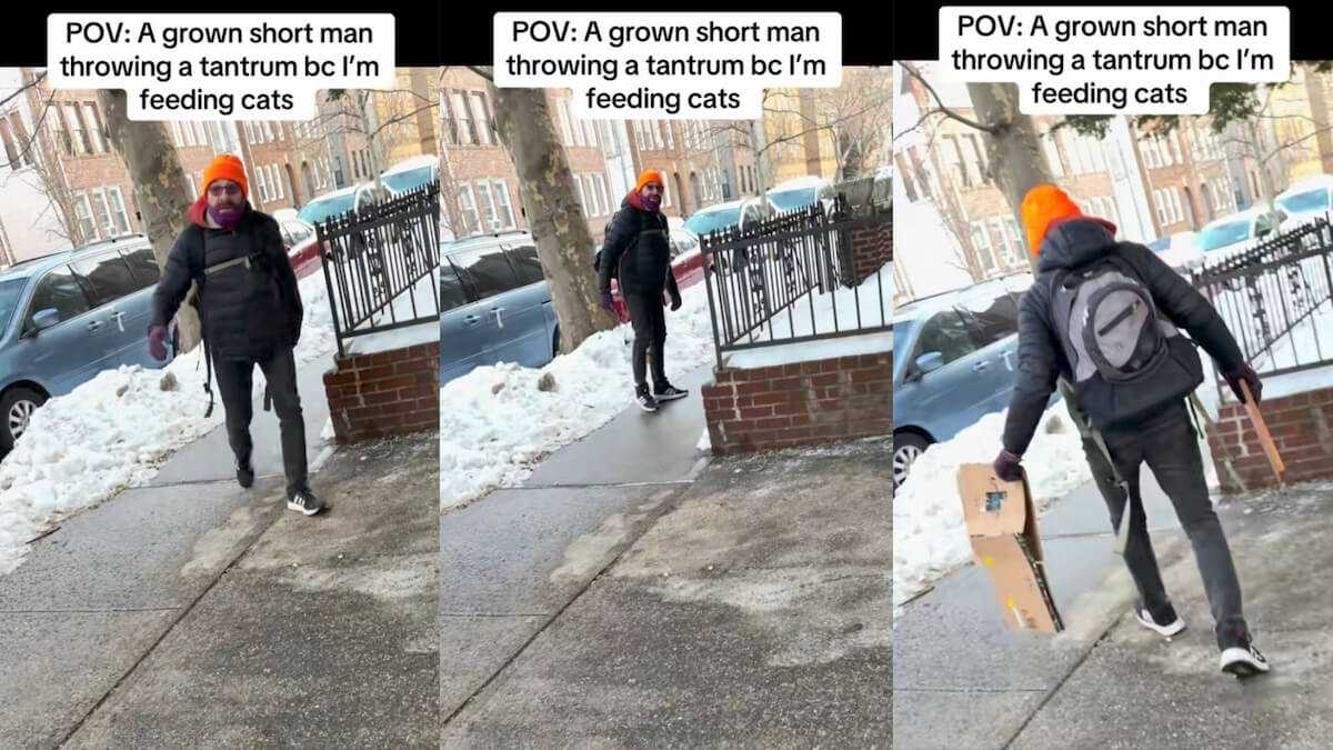 Woman Harassed By Angry ‘Weirdo’ Who Didn’t Like That She Was Feeding Stray Cats in New York Neighborhood: ‘The Hatred Some People Have for Cats Is Wild’
