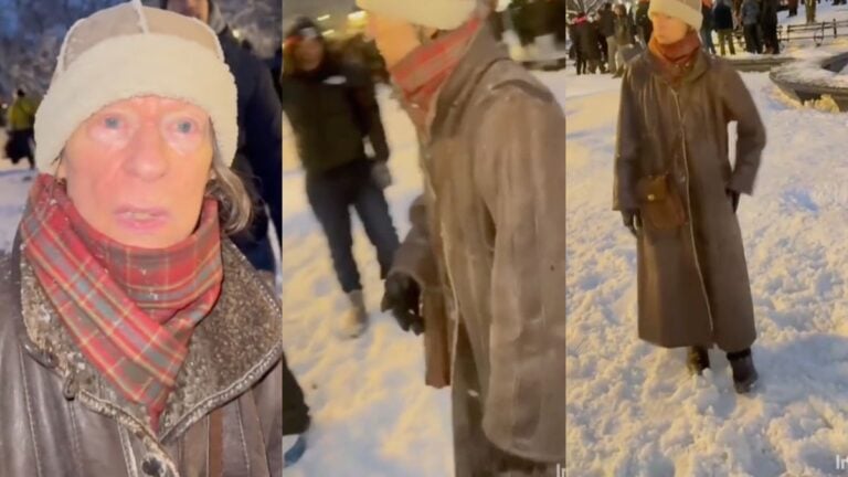 ’Some People Are So Unhappy With Their Lives’: Elderly Woman Dramatically Crashes Snowball Fight in New York, Sparking Debate